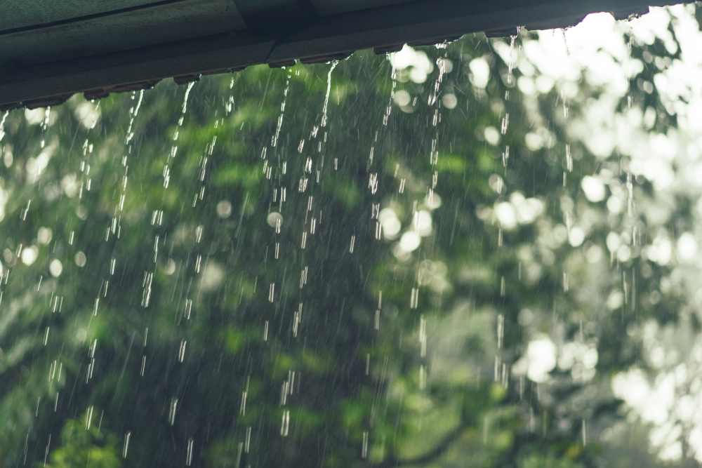 lluvia deslizándose sobre un techo